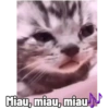 Gatitos #1 24