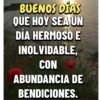 BUEN DÍA 7