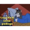 Memes 19