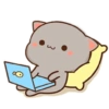 Kucing Gemoy Lucu 4 10