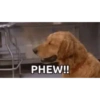 Memes 9