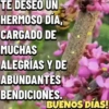 BUEN DÍA 10