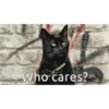 Memes 21