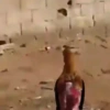 Aves divertidas 🤣 11