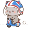 Kucing Gemoy Lucu 4 8