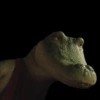 Lilo, Lilo, Crocodilo  5