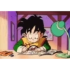 DragonBall 30