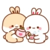 Cute Xoxo 13