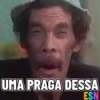 Legendados 14