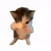 Amo meu momo 11