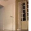 Macaco 5