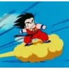 DragonBall 29