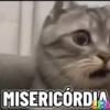 Legendados 17