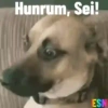 Legendados 7