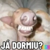 Legendados 19