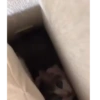 Animated irl 10