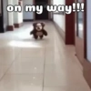 Animated irl 5