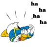 Gatinhos e etc 29