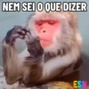 Legendados 24