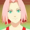 Animes 21