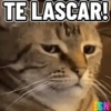 Legendados 12