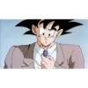 DragonBall 28