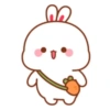 Cute Xoxo 14