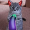 Gatos horny  10
