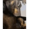 MÁS MONOS 9