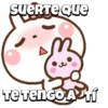 So cute rabbit✨️💝🐰 18