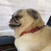 Tiktok 25