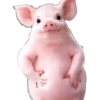 Novos Gifs 10