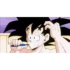 DragonBall 8