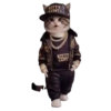 Novos Gifs 12
