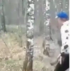 Erros cômicos 18