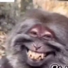 Jajajaja 10