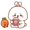 Cute Xoxo 16