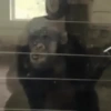 MÁS MONOS 22