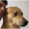 Mamaco 12