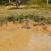 Erros cômicos 19