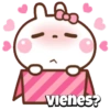 So cute rabbit✨️💝🐰 19
