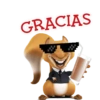 GRACIAS 15