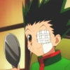 Hunter x hunter 27