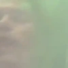 Macaco 24