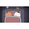 Panda Gemoyy 25