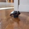 Tiktok 19