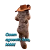 Novos Gifs 18