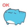 Cappo_Cat 01 6