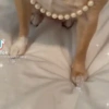 Tiktok 15