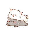 GomaPeach 23